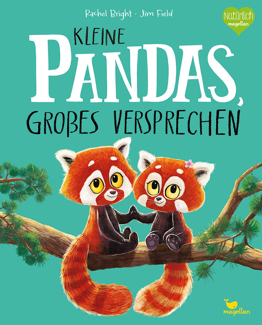 kleine pandas